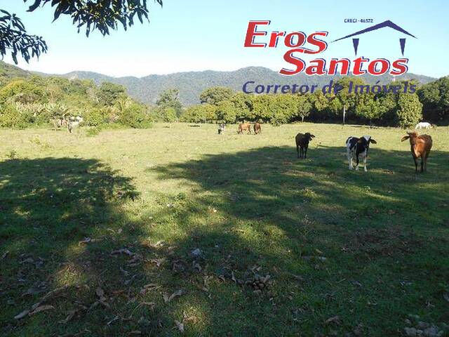 Área para Venda em Maricá - 5