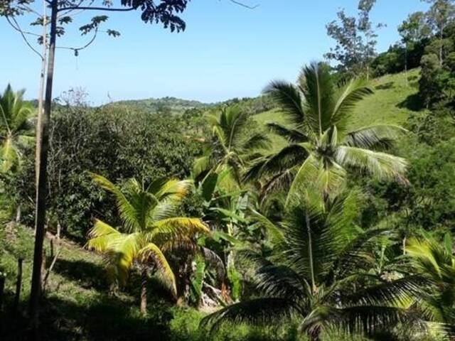 Área para Venda em Maricá - 4