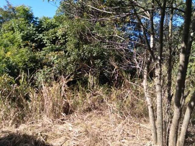 Área para Venda em Maricá - 5