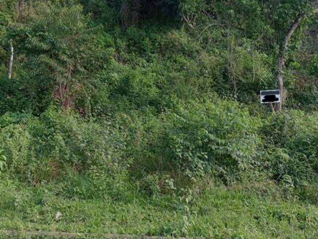#1156 - Área para Venda em Maricá - RJ - 3